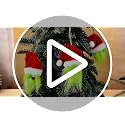 24 Pcs Christmas Gnome Ornaments Set - Festive Hanging Decor for Holiday Tree