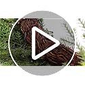 Christmas Cedar Wreath Set - 20 Inch with Red Ribbon Bow - Pack of 3