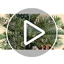 10pcs 3.3Ft Crystal Beaded String Glass Garland for Christmas - Clear