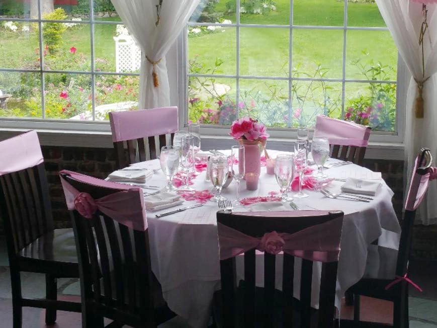 Skiennix Satin Chair Sashes - Elegant Tie Back Bows for Wedding & Party Decor | Light Pink (10 Pack)