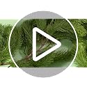 Lyrow 2 Pack 6ft Christmas Pine Garland - Thick Deluxe Holiday Decor