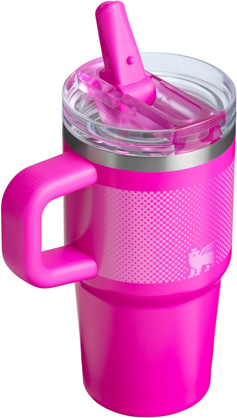 STANLEY Quencher ProTour 20 oz Tumbler - Leakproof Lid, Built-In Straw & Handle | BPA-Free Vivid Violet Fade