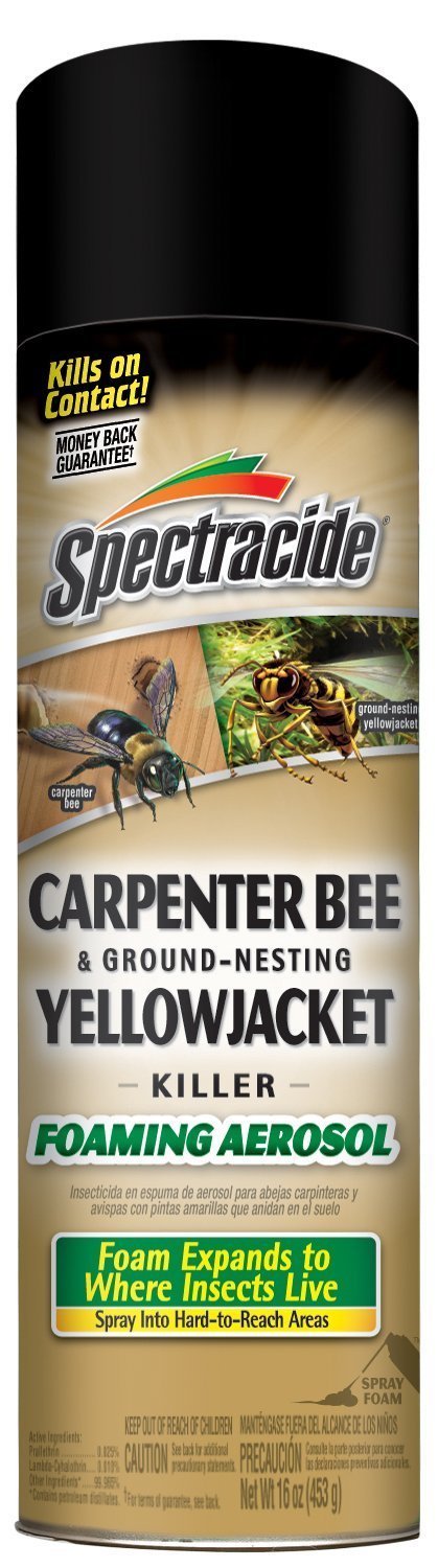 Spectracide Carpenter Bee & Yellowjacket Killer - Foaming Aerosol Spray (Pack of 3)