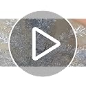 Liguanow 4ft Silver Artificial Christmas Tree with Separate Lights - Small Indoor Xmas Tree for Home & Office Decor