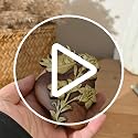 Gold Wooden Sacred Hearts Wall Decor Set - 8 Inch Holy Family Religious Art