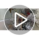 25 Velvet Christmas Bows for Holiday Decor - Burgundy, 1 Inch Wide