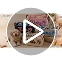 Dog Toy Basket with Name B-Storage Basket Personalized Pet Organizer with Handles