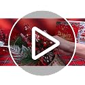 Mini Christmas Tree Set with Lights and Red Berry Accents - Cute Colorful 3-Pack