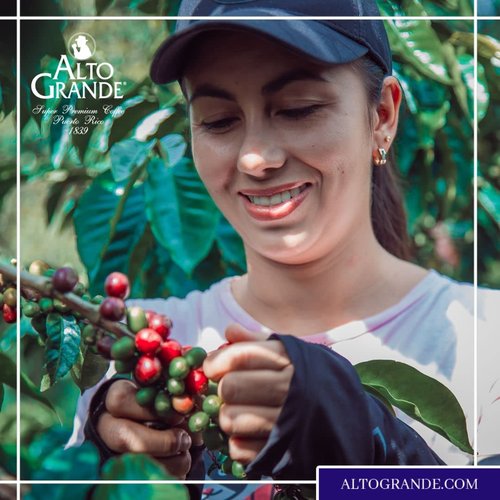 Alto Grande Super Premium Capsules for Nespresso Machines, 100 Percent Arabica Coffee From Puerto Rico (Espresso, 144 Count)