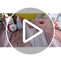 Red Christmas Tree Pick Ornaments Stems - 17 Inch Holiday Decor Set