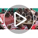 Natural Pine Cone Decorations for Christmas & Autumn - 65 pcs Bulk Set