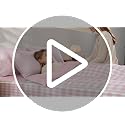 Plaid Zipper Comforter Set Twin Size - Brown White Bedding with Fitted Sheet & Pillowcases