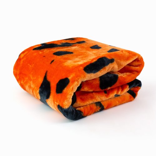 College Covers Everything Comfy Oklahoma State Cowboys Soft and Warm Huge Raschel Throw Blanket, 86" x 63"