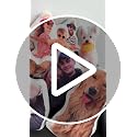 Personalized Photo Pillow - Custom Shaped Memory Foam Pillow with Your Image