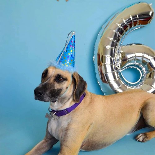 40'' Silver Number 9 Balloon - Giant Self-Inflating Foil Balloon for 9th Birthday & Anniversary Celebrations