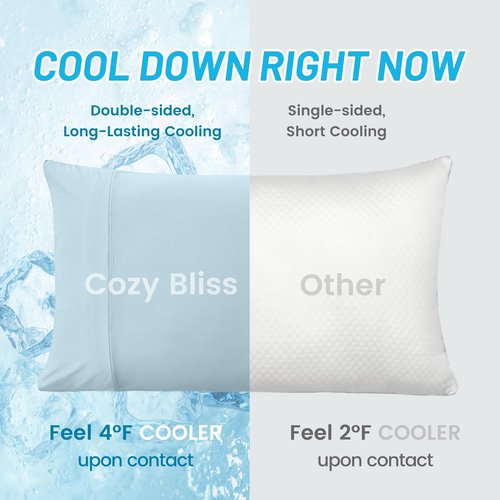 Cozy Bliss Cooling Pillow Cases for Hot Sleepers, Q-Max>0.45, Queen Size Set of 2, Soft & Silky Pillow Covers with Envelope Closure,Gift, Blue, 20x30 Inches