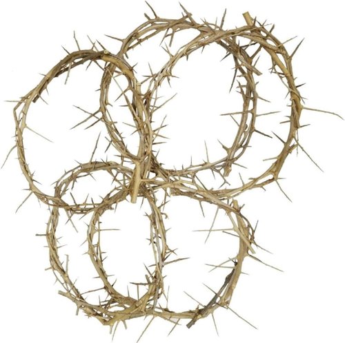 Bethlehem Gifts TM Crown of Thorns | Authentic Life-Size Jerusalem Design (4-6" Diameter)