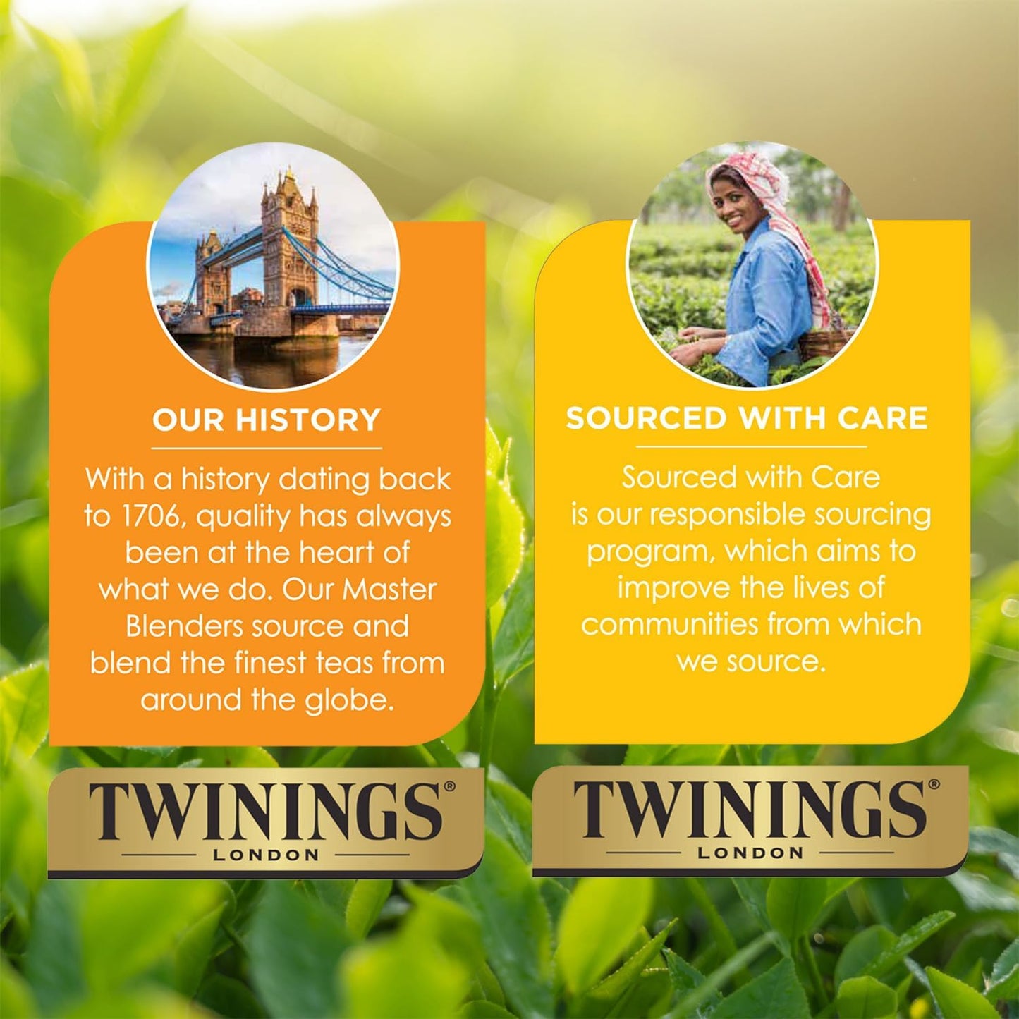 Twinings Pure Oolong Tea - Golden Caffeinated Tea Bags, 20 Count Each, Individually Wrapped | 2-Pack