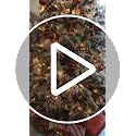 Christmas Tree Ornaments Set - Shatterproof Dark Green Baubles for Holiday Decor 60mm