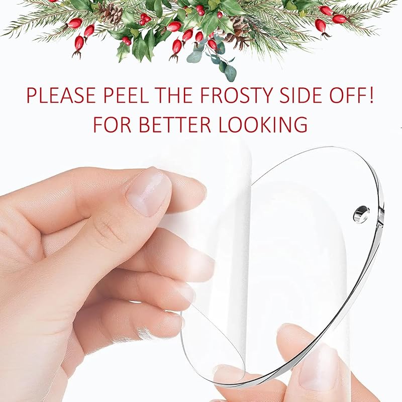 Funny Christmas Ornament - Silly Goose On The Loose 2 Acrylic Hanging Decoration, 3.6 in