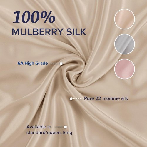 Beckham Hotel Collection Silk Pillowcase - 100% Mulberry Silk for Hair & Skin | 22 Momme, Queen, Champagne