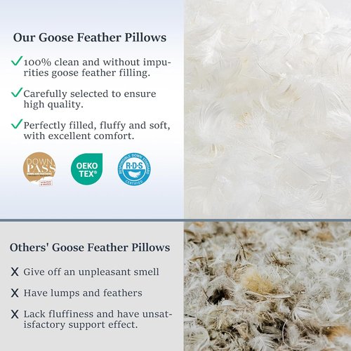 COZSINOOR Goose Down Feather Pillows - Soft 600 TC Cotton Cover | Queen Size Set of 2 for All Sleepers