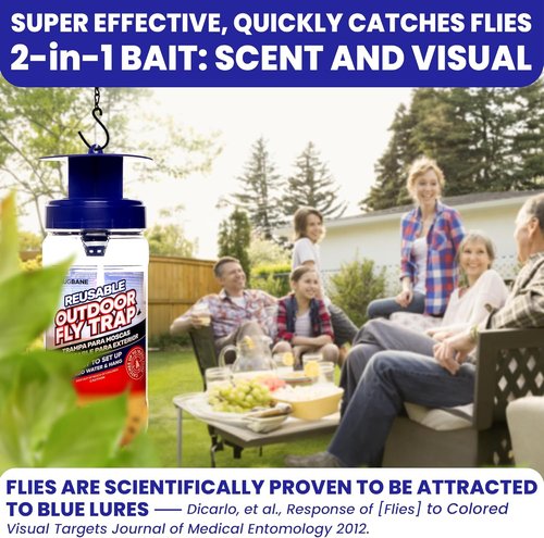 2 Fly Traps | Outdoor Patio Fly Trap with 4 Non-Toxic Bait Refills - Reusable Bug Catcher for Yard