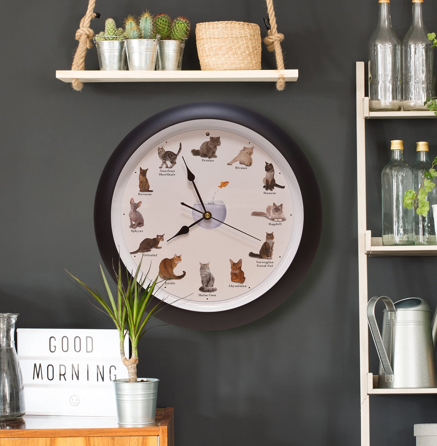 Mark Feldstein & Associates Meowing Cat Sounds Wall Clock, 13", Black, 12 Popular Breeds