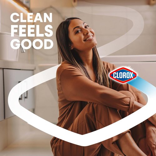 Clorox Toilet Bowl Cleaner - Heavy Duty Stain & Ring Remover | Arctic Clean, 24 Fl Oz, Pack of 2