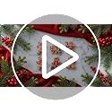 Mini Pink Gingerbread Man Christmas Ornament Set - 210pcs Holiday Decor