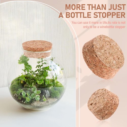10 Pcs Tapered Cork Plugs, 1.5 to 1.9 Inch Diameter Cork Lids 2 Sizes Large Wooden Stoppers for Bar, Restaurant, Wine and Beer Making Craft, Jars, DIY Crafts, Bottles Ornaments