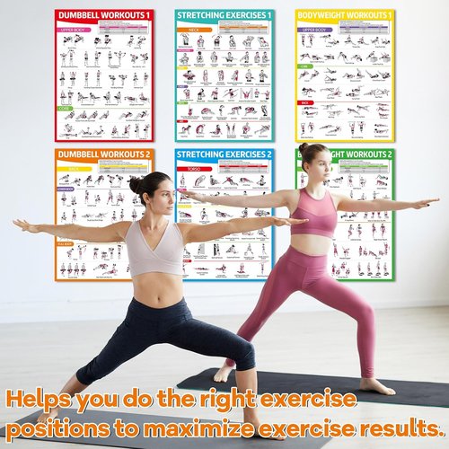 Gisgfim 8PCS Workout Posters | Full Body Exercise Charts for Home Gym - Laminated Dumbbell & Kettlebell Training Decor
