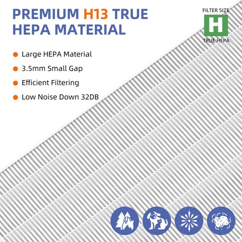 116130 HEPA Replacement Filter H for Winix 5500-2 Am80 Plasmawave Air Purifier,H13 True HEPA High-Efficiency Activated Carbon Filter,2 Combo Set