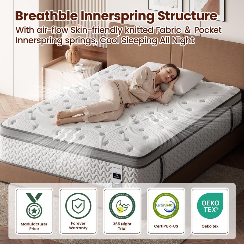 SLEEP100 Queen Mattress 12 Inch, 5-Zone Deep Sleep Firm Mattress with Extra Lumbar & Shoulder Support, Hotel Collection Hybrid Mattresses Pain Relief - Fiberglass Free - No Odor - 365 Night Trial