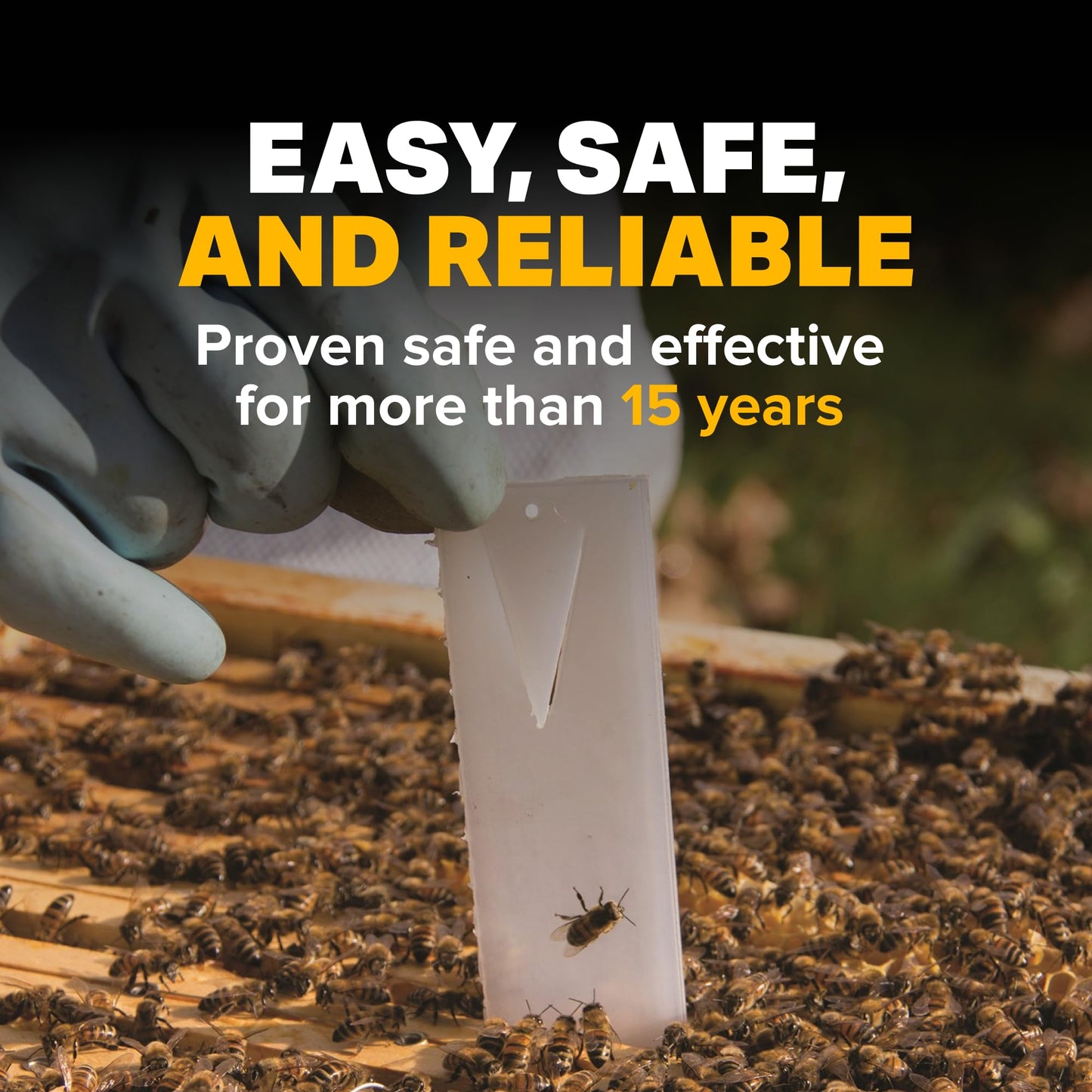 Mann Lake Apivar Strips, Mite Strips, Beetle Traps, Vacuumed Sealed, Beekeeping Essentials, Easy-to-Use, Safe & Effective, 12 Pack