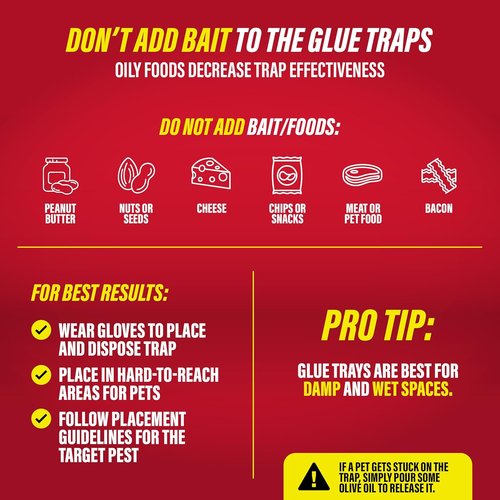 Catchmaster Rat & Mouse Traps - 10 Pack Large Bulk Adhesive Traps for Effective Pest Control