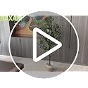 5Ft Artificial Olive Tree Indoor with Woven Basket - Faux Tree for Home Decor