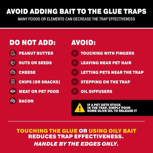 Catchmaster Max-Catch Mouse & Insect Glue Traps - 36 Pack Sticky Pest Control for Home Use