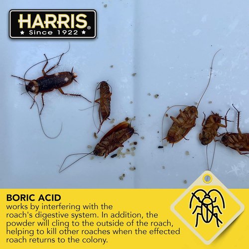 HARRIS Boric Acid Roach & Silverfish Killer Powder - Effective Insect Lure | 16oz