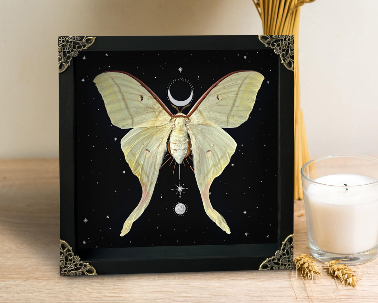 Real Butterfly Luna Moth Moon Astronomy Shadow Box Gothic Décor Spooky Gifts Dried Insect Lover Taxidermy Oddity Bug Taxadermy Specimen Entomology Display Wall Hanging Decor Decoration K22-33-AS5