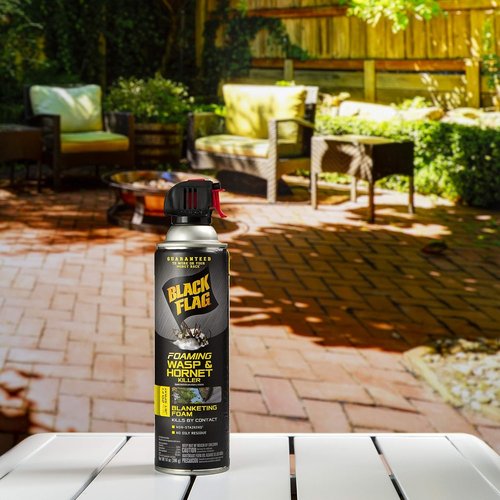 Black Flag Foaming Wasp and Hornet Killer - 14 Ounce Aerosol Insecticide Spray | 12 Pack