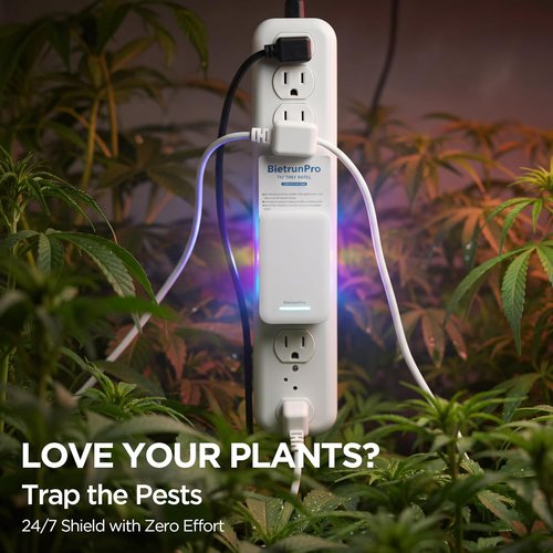 Flying Insect Traps+5 Refill Cartridges, 2026 2nd Gen, UV/Blue/Yellow Light Plug in Fly Trap & Indoor Bug Catcher for Gnats, No-Mess Bug Zapper, House & Fruit Flies, 7 * 24hrs Pest Control