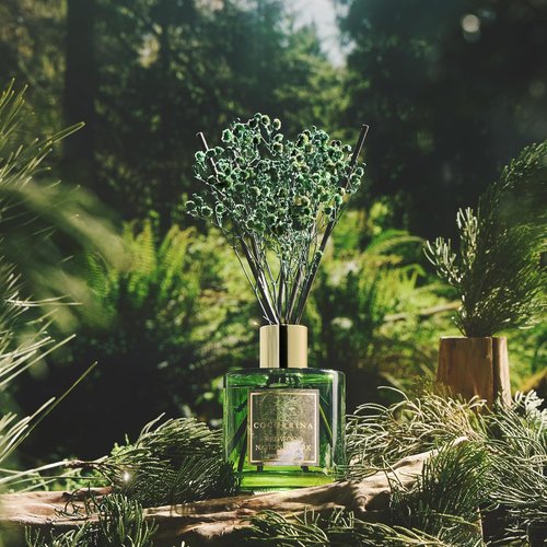COCORRÍNA Reed Diffuser - Redwood National Park 6.7 Fl. Oz Set with 8 Sticks & Baby's Breath Decor