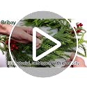 9FT Artificial Christmas Garland Norfolk Pine with Red Berries Winter Decor - Variation of THIS listing