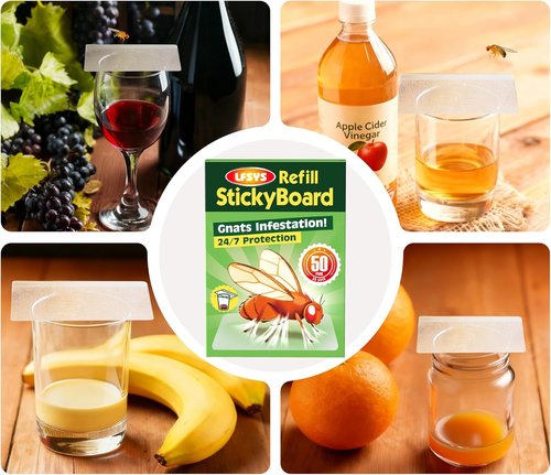 Double-Sided Sticky Trap Covers | 25 Pack Adhesive Cards for Fruit Fly Traps - Clear, Mess-Free Indoor Use