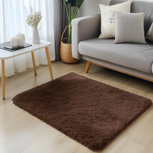 OLANLY 2x2 Machine Washable Small Rug, Soft Fluffy Shaggy Throw Rug for Bedroom, Entryway, Indoor Floor Carpet for Kids, Nursery, Home Decor, Coffee