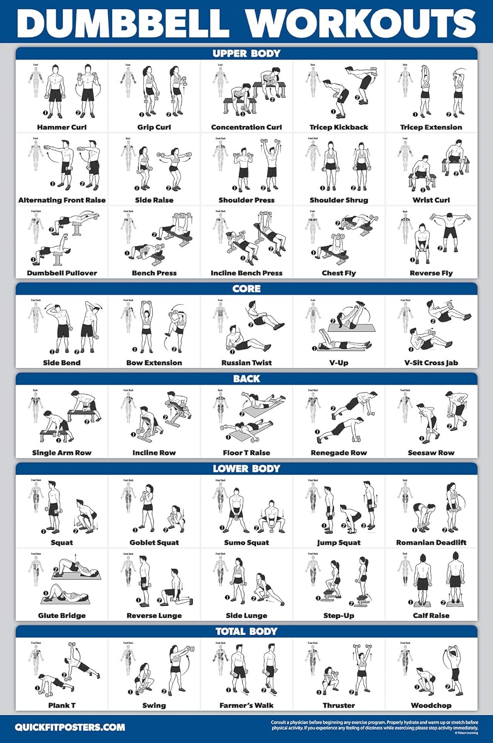 Palace Learning Dumbbell Workout Posters - Laminated Exercise Charts (18" x 24") | 3 Pack Volumes 1-3