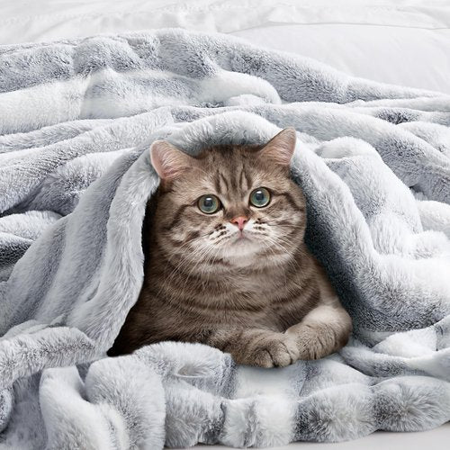 Hyde Lane Luxury Fluffy Faux Rabbit Fur Throw Blanket - Ultra Soft Cozy Blankets for Sofa, Couch, Bedroom | Warm Thick Fuzzy Throws As a Gift, Snow Lynx, 60"x80"