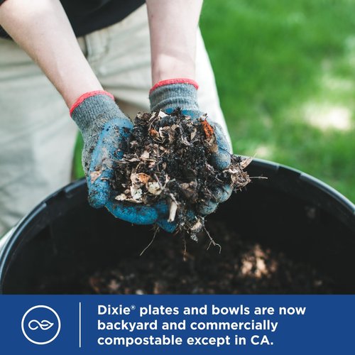 Dixie Small Paper Bowls, 10 Oz, 72 Count, Microwave-Safe, Soak-Proof, Disposable Bowls Great For Snacks, Dessert, And Light Lunch Meals