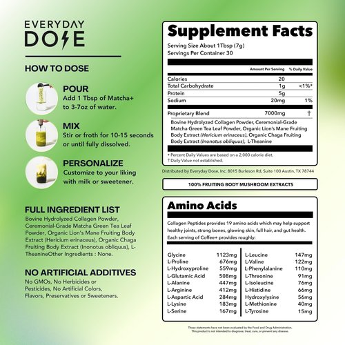 Everyday Dose Mushroom Matcha+ Ceremonial Grade Matcha Powder - Japanese Tea With Grass-Fed Collagen, Lion's Mane, Chaga, L-Theanine - For Better Focus, Energy, Digestion and Immunity - 30 Servings
